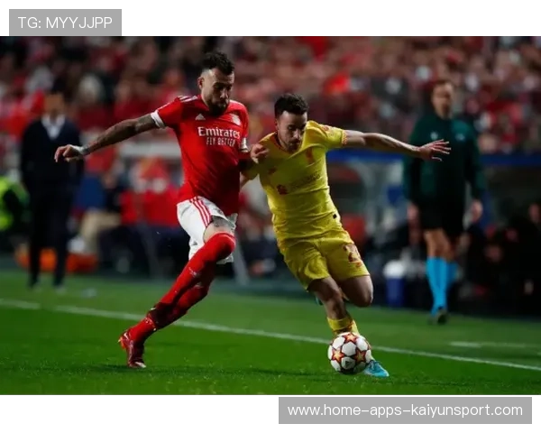 布加勒斯特星队锁定葡超动力源——开启新赛季的无限可能